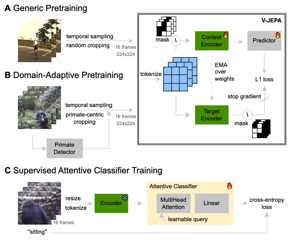 Domain-Adaptive Pretraining teaser